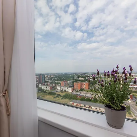 Place On The Apartman