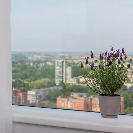 Apartman Place On The *