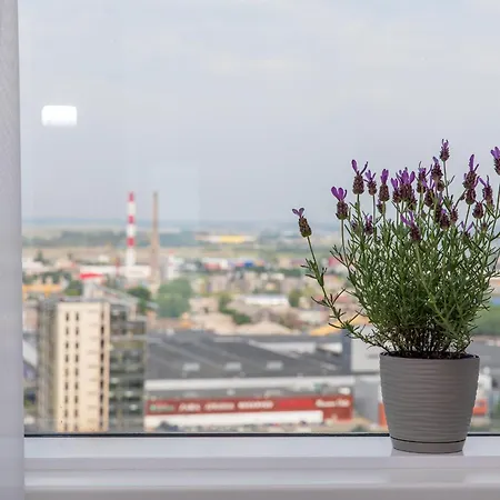 Place On The Klaipėda