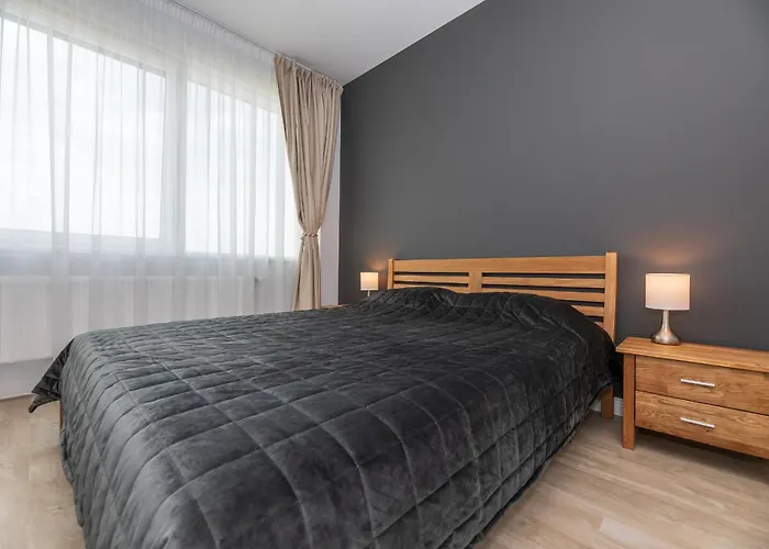 Place On The Klaipeda