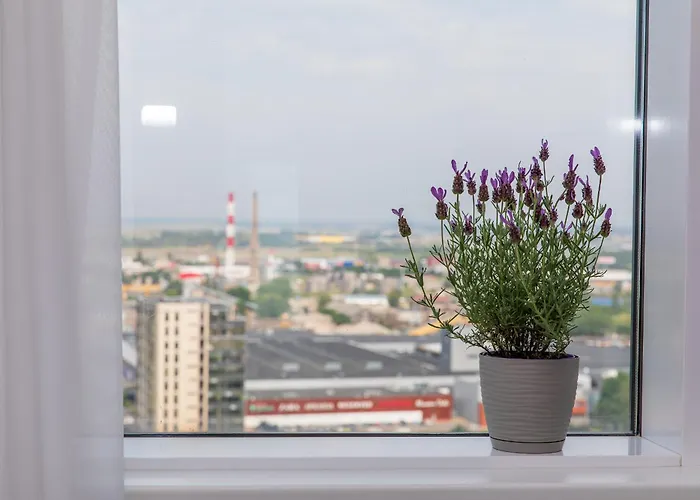 Place On The Klaipėda